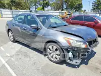 2008 Honda Accord фото