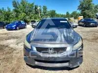 2008 Honda Accord фото