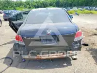 2008 Honda Accord photo