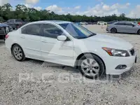 2008 Honda Accord photo