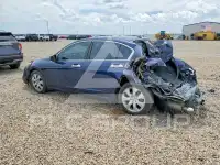 2008 Honda Accord фото