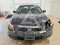 2008 Honda Accord фото