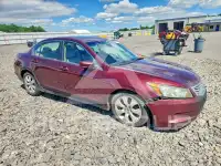 2008 Honda Accord фото