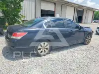 2008 Honda Accord фото