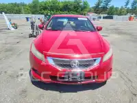 2008 Honda Accord photo