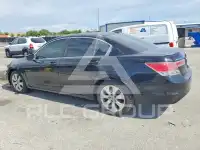 2008 Honda Accord photo