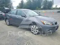 2008 Honda Accord photo