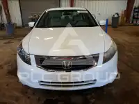 2008 Honda Accord photo