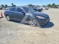 2008 Honda Accord photo