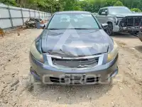 2008 Honda Accord фото