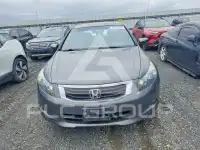 2008 Honda Accord фото