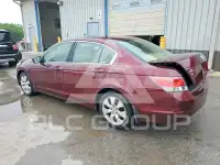 2008 Honda Accord фото