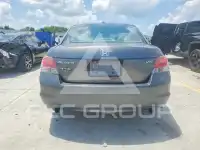 2008 Honda Accord photo