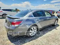 2008 Honda Accord фото
