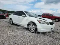 2008 Honda Accord фото