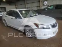 2008 Honda Accord фото