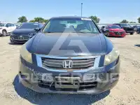 2008 Honda Accord фото