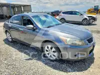 2008 Honda Accord фото