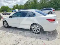 2008 Honda Accord photo