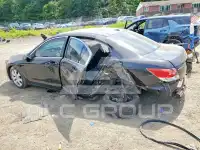 2008 Honda Accord photo