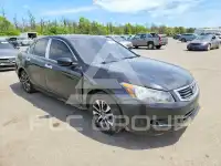 2008 Honda Accord фото