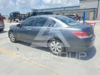 2008 Honda Accord photo