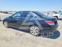 2008 Honda Accord фото