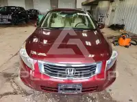 2008 Honda Accord photo