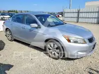 2008 Honda Accord фото