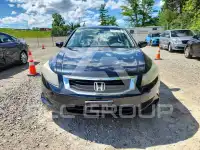 2008 Honda Accord photo
