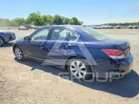 2008 Honda Accord photo
