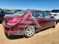 2008 Honda Accord фото