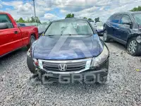 2008 Honda Accord фото