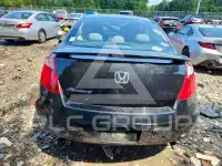 2008 Honda Accord photo