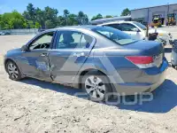 2008 Honda Accord photo