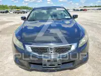2008 Honda Accord фото
