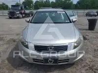 2008 Honda Accord photo
