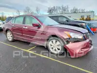 2008 Honda Accord фото