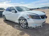 2008 Honda Accord photo