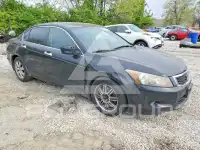 2008 Honda Accord фото