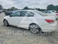 2008 Honda Accord фото