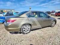 2008 Honda Accord фото