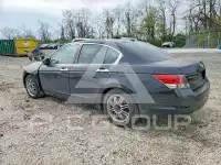 2008 Honda Accord фото
