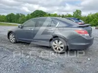 2008 Honda Accord фото