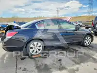 2008 Honda Accord photo