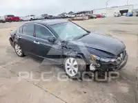 2008 Honda Accord фото