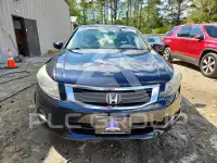 2008 Honda Accord фото