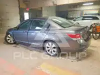 2008 Honda Accord фото