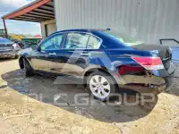 2008 Honda Accord фото