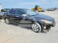 2008 Honda Accord фото